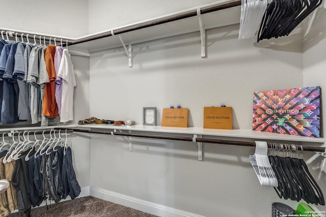 spacious closet featuring carpet