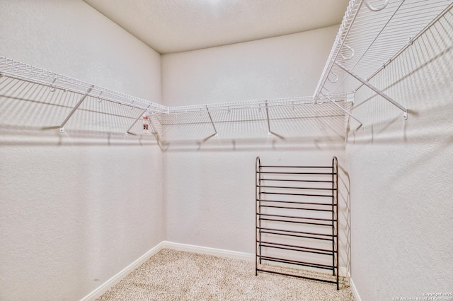 spacious closet featuring carpet flooring