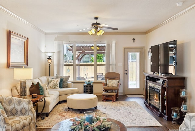 living room featuring ceiling fan, crown molding, and hardwood / wood-style flooring