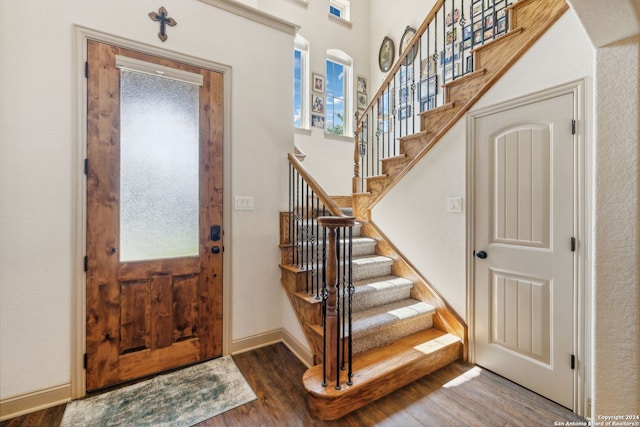 foyer with dark hardwood / wood-style flooring