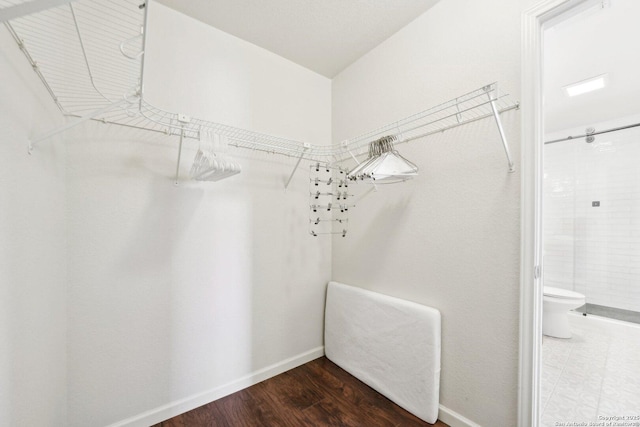 spacious closet with wood-type flooring