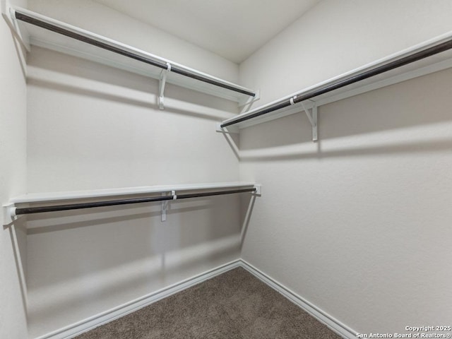 spacious closet with carpet floors