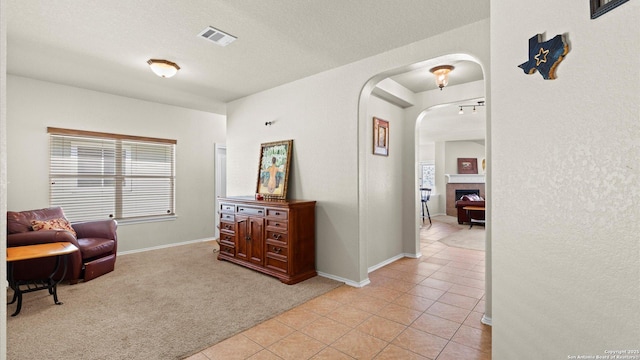 sitting room featuring a textured ceiling, a healthy amount of sunlight, and light carpet