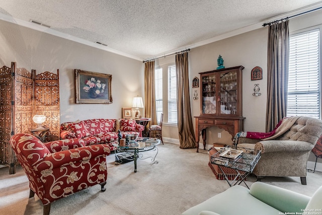 carpeted living room with ornamental molding and a textured ceiling