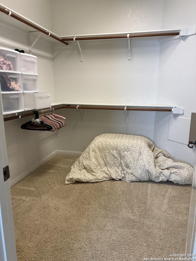 spacious closet featuring carpet floors