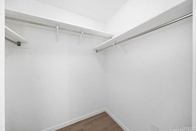 walk in closet featuring hardwood / wood-style flooring