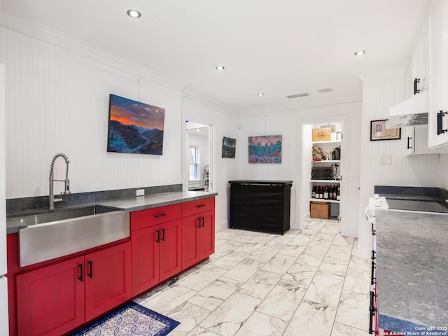 kitchen with stove, ornamental molding, and sink