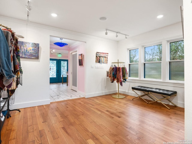 interior space with light hardwood / wood-style floors, a healthy amount of sunlight, french doors, and track lighting