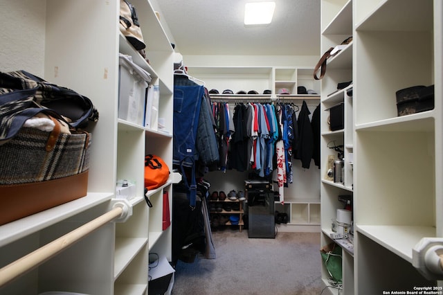 spacious closet featuring carpet