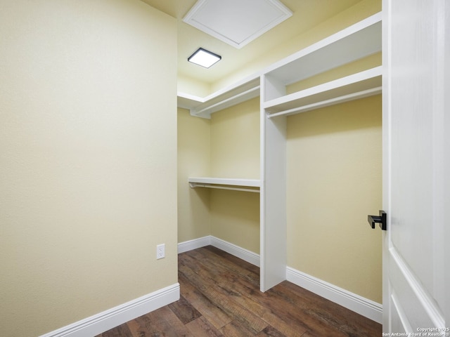 walk in closet featuring dark hardwood / wood-style flooring