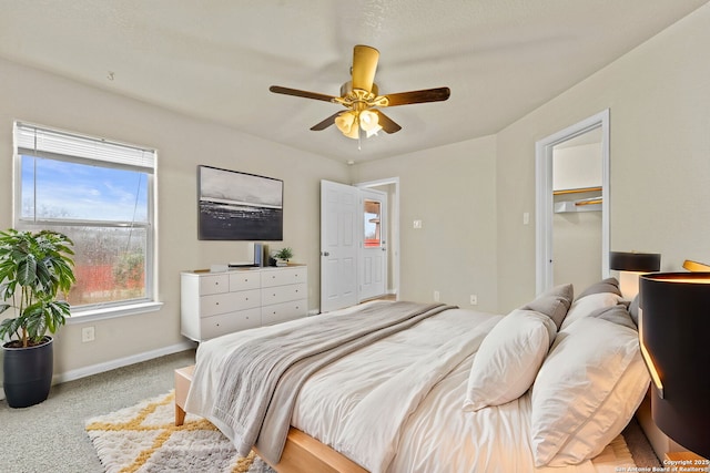 carpeted bedroom featuring a walk in closet, ceiling fan, and a closet