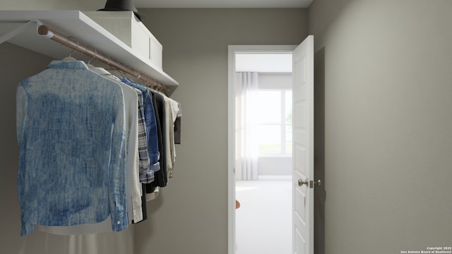 spacious closet featuring carpet flooring