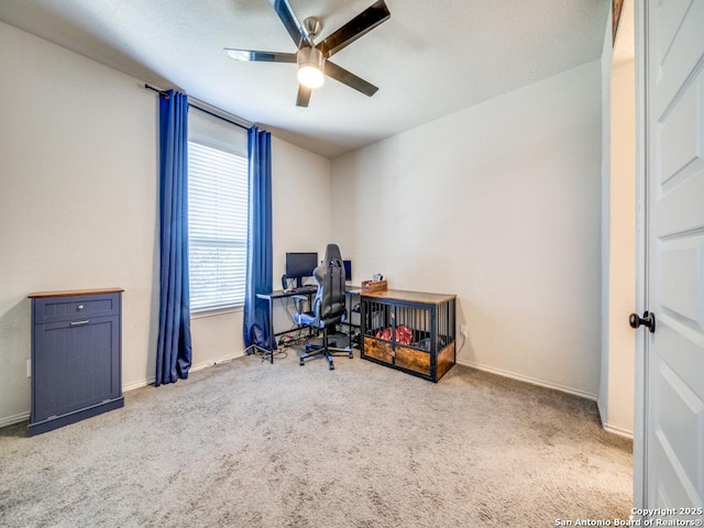 office space with ceiling fan and carpet