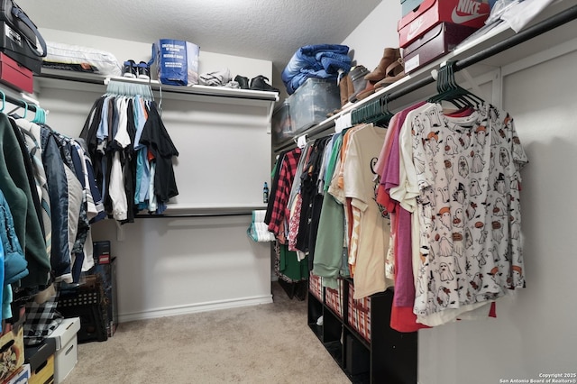 walk in closet with light colored carpet