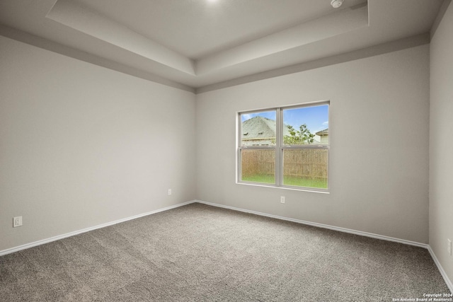 carpeted empty room featuring a raised ceiling