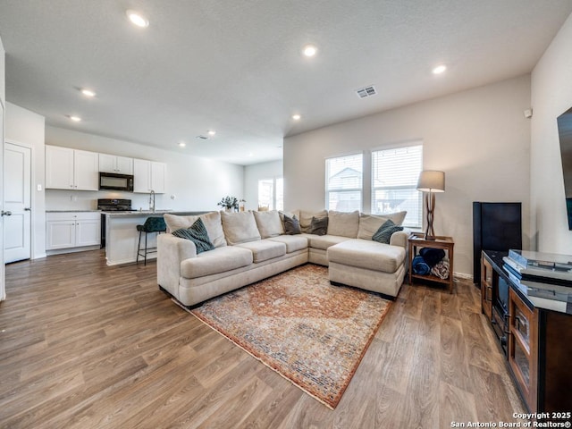 living room featuring light hardwood / wood-style flooring and sink