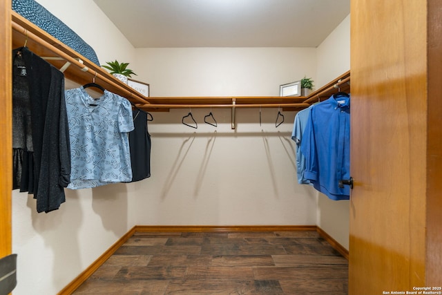 spacious closet featuring dark wood-type flooring