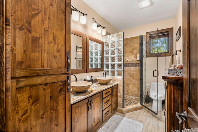 bathroom with vanity, toilet, and a shower with door