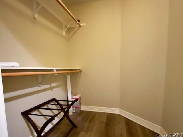 spacious closet featuring dark wood-type flooring