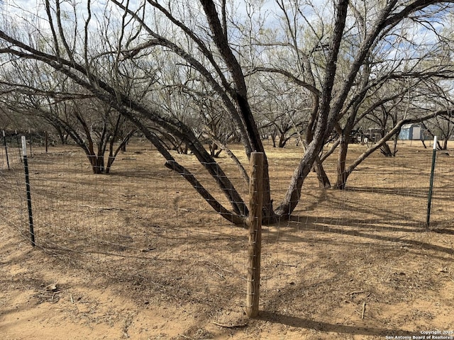 view of yard with a rural view