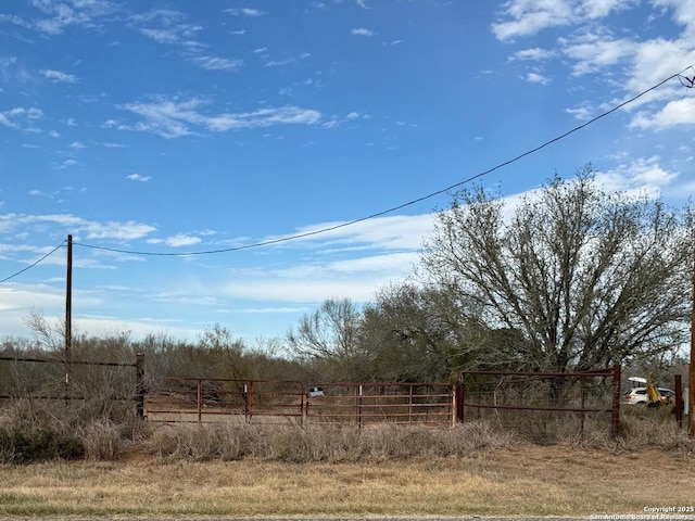 view of yard with a rural view