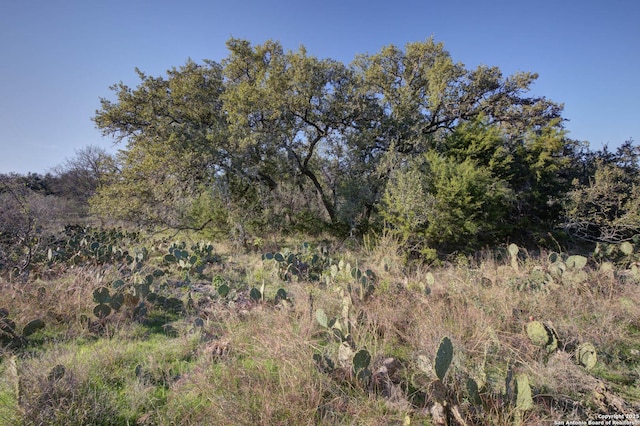 132 Maple Ter, New Braunfels TX, 78132 land for sale