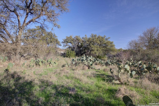 132 Maple Ter, New Braunfels, TX 78132