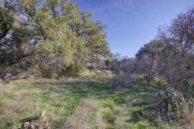 132 Maple Ter, New Braunfels, TX 78132