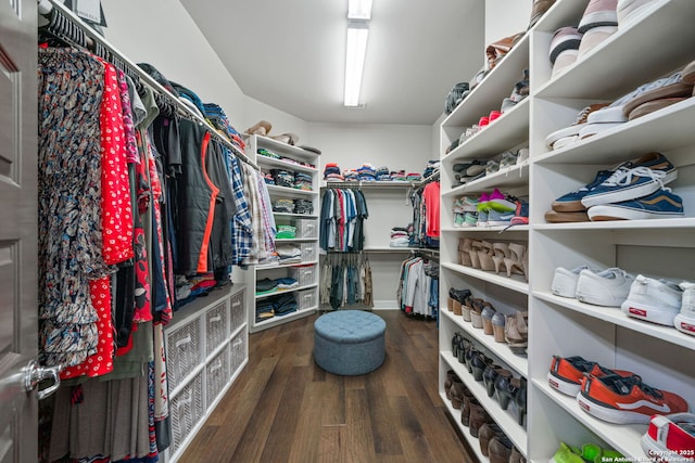 walk in closet featuring dark wood-type flooring