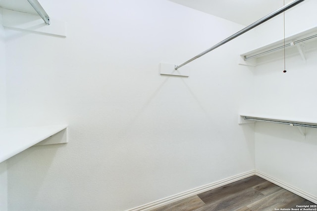 walk in closet featuring wood-type flooring