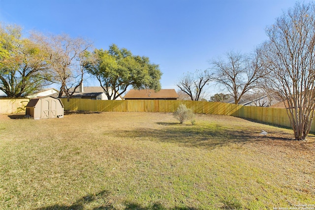 view of yard with a shed