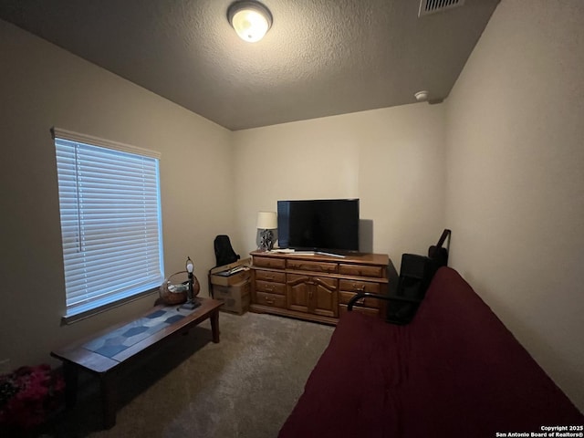 office area featuring carpet flooring and a textured ceiling