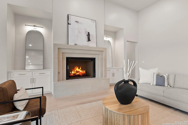 living room featuring light hardwood / wood-style floors