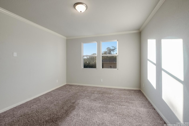 unfurnished room with ornamental molding and carpet floors