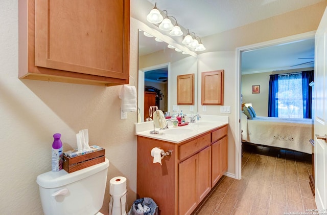 bathroom featuring toilet, wood-type flooring, and vanity