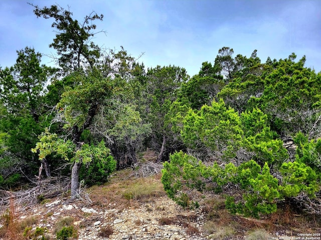 171, 193 Appaloosa Dr, Fischer, TX 78623