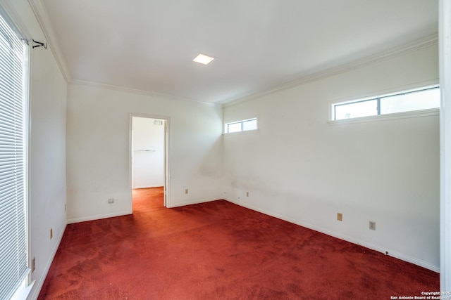 basement featuring ornamental molding and carpet floors