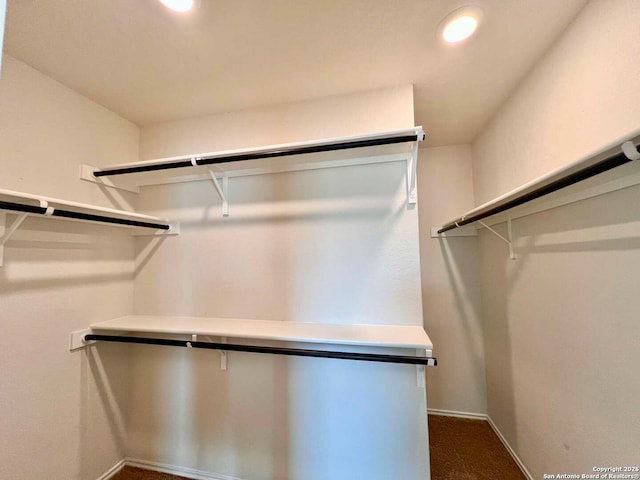 spacious closet with carpet floors