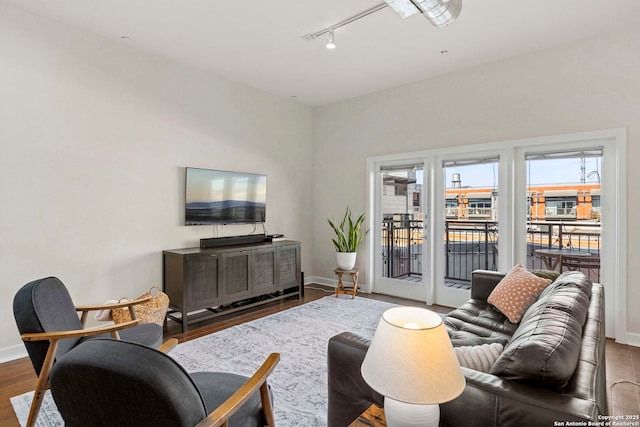 living room featuring rail lighting and wood-type flooring