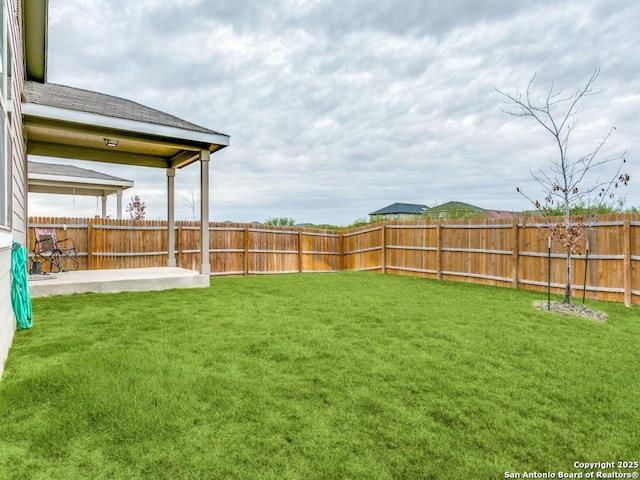 view of yard featuring a patio