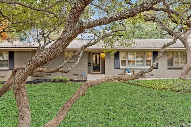 ranch-style house featuring a front yard