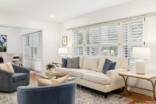 living room with hardwood / wood-style floors