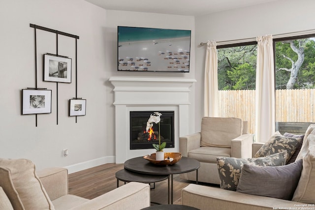 living room featuring hardwood / wood-style floors