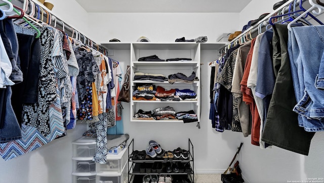 spacious closet featuring carpet flooring