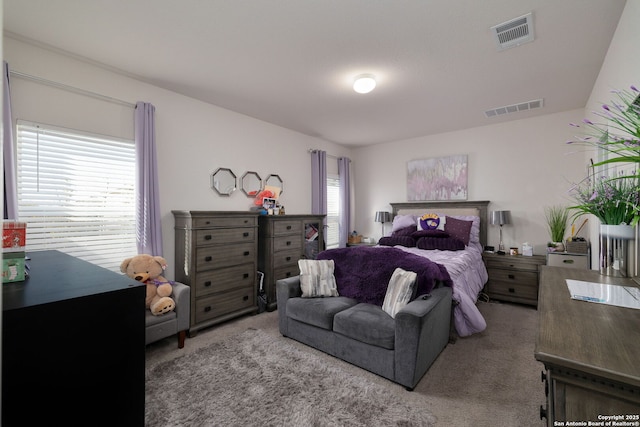 carpeted bedroom with multiple windows