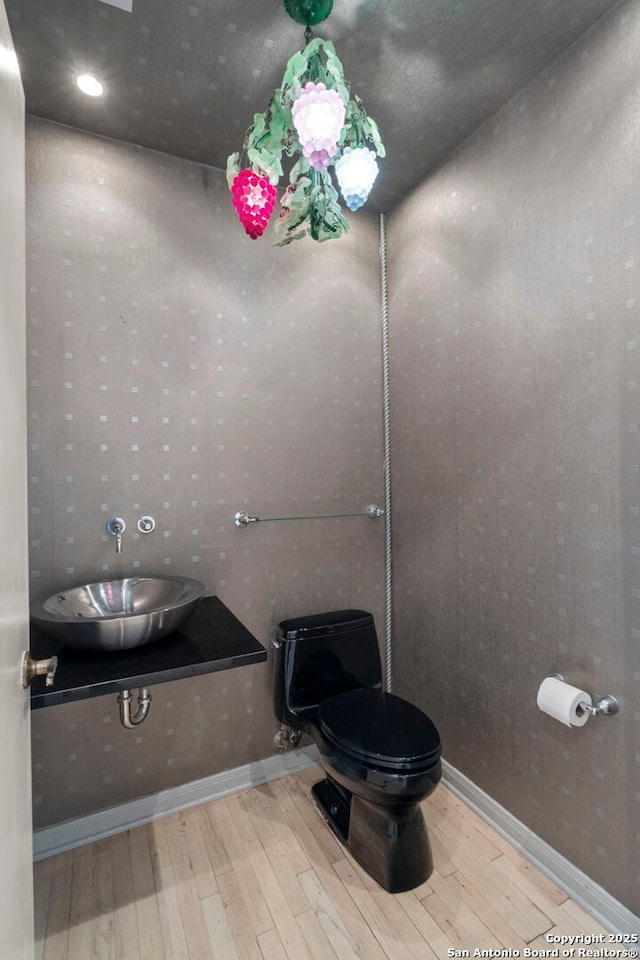 bathroom with sink, wood-type flooring, and toilet