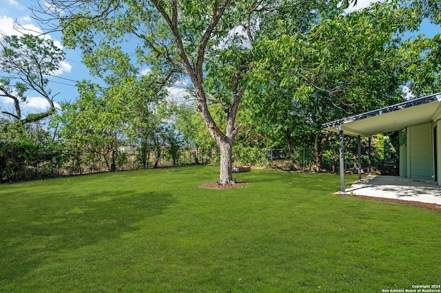 view of yard featuring a patio area