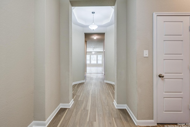 hall featuring a tray ceiling and wood-type flooring