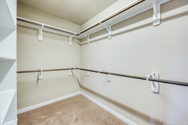 walk in closet featuring carpet floors