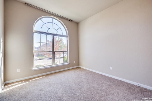 spare room featuring carpet floors